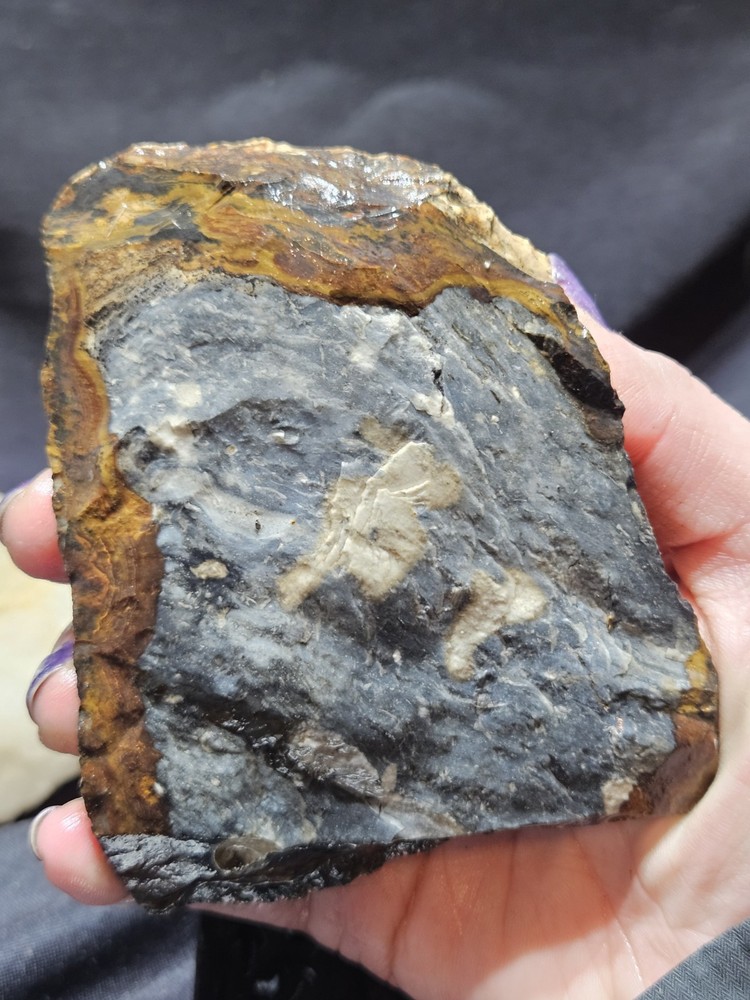 Biggs Jasper Multi Colored w/ Dendric Specimen Natural Form (14oz)