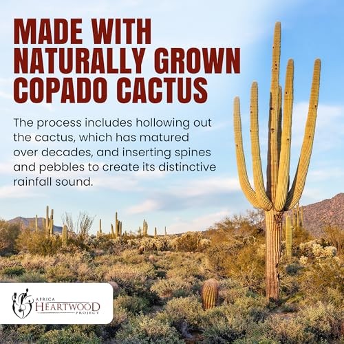 30" Cactus Rainstick from Chile - Authentic Handcrafted Rain Stick Various