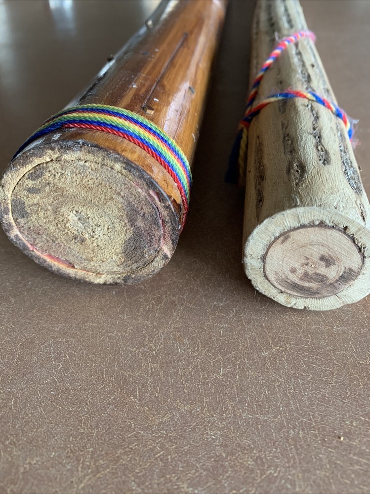 2 RAINSTICKS