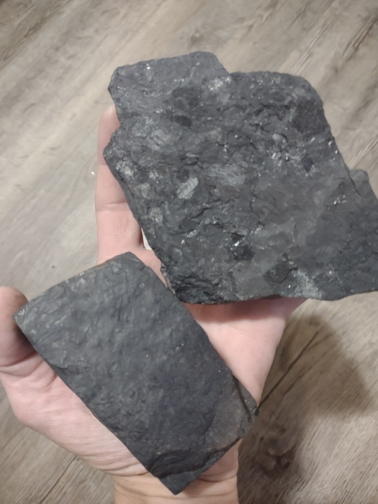 Bituminous Coal specimen 1/2lb+, Eastern Kentucky Coal, 1 per order, Real Coal