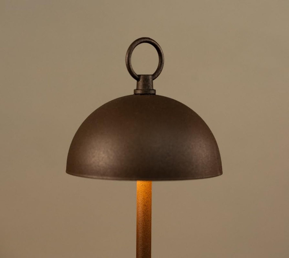 Branson 12" Rust Dimmable Rechargeable Table Lamp