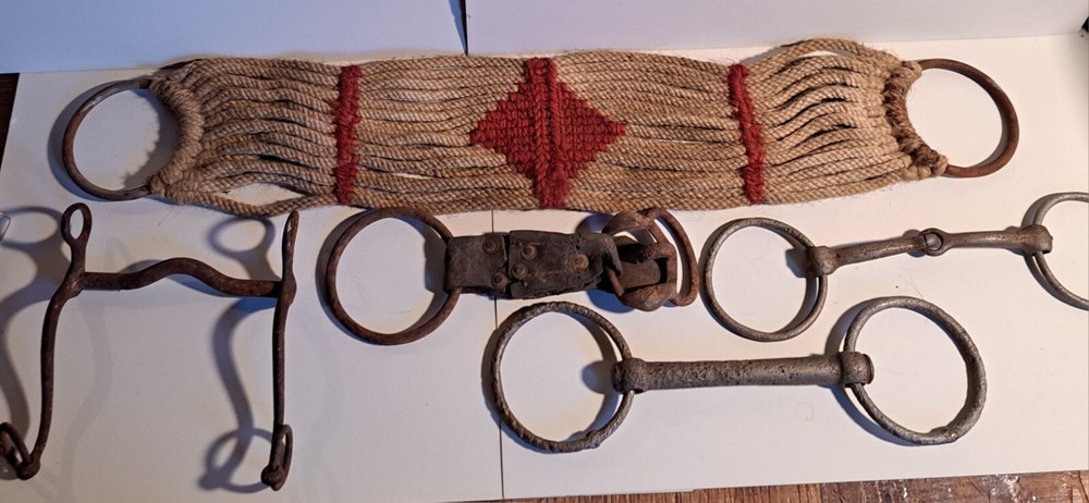 Rustic Western Horse Cowboy Wall Decor Cinch BITS