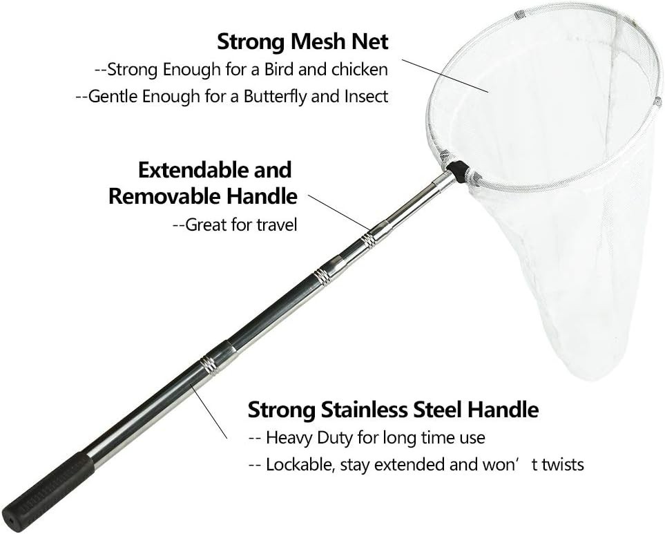 Professional Insect Collection Net: 12" Diameter & 59" Telescopic Handle