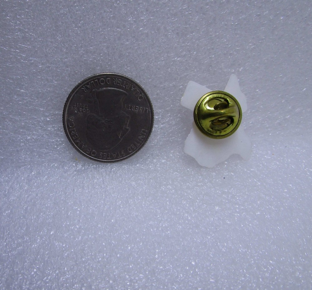 UT Means Business Texas Plastic Pin