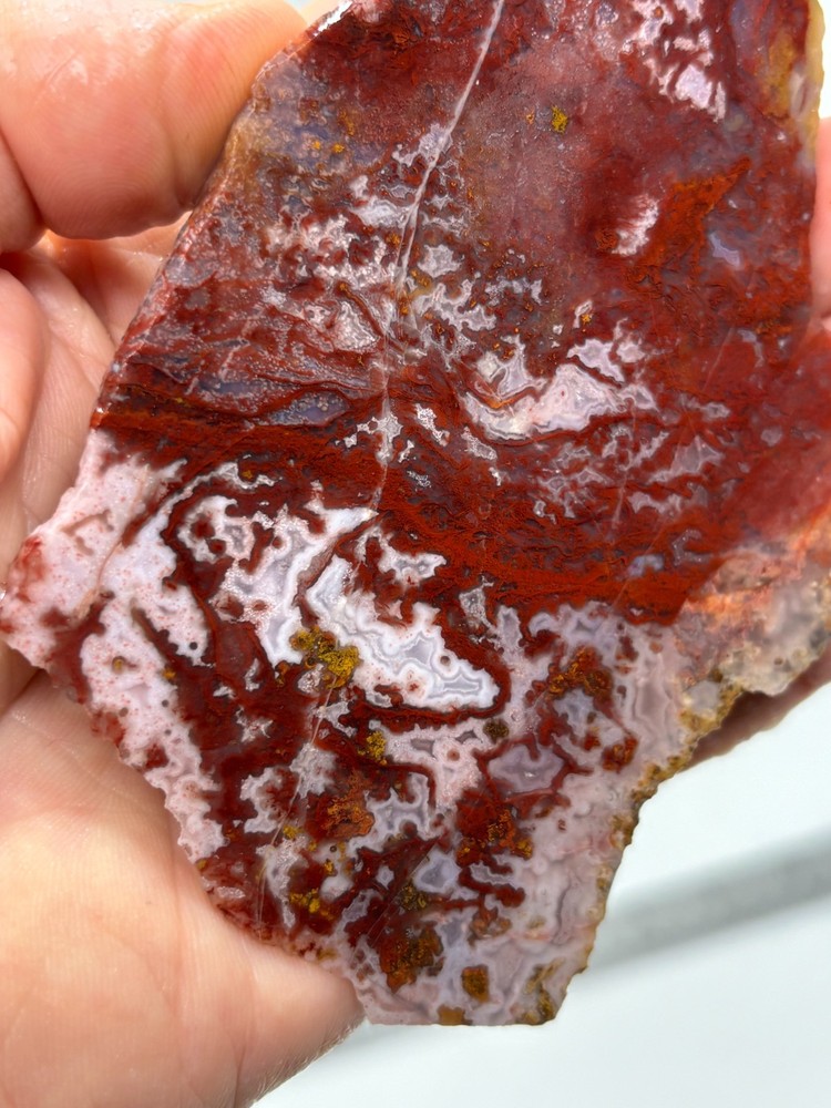 Mexican Red Moss Agate Slabs Lapidary Cabbing Combo Ship Avail