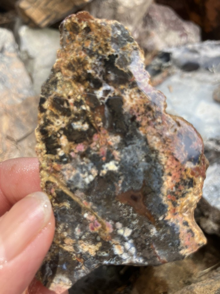 Priday Plume Agate Slab (Oregon)