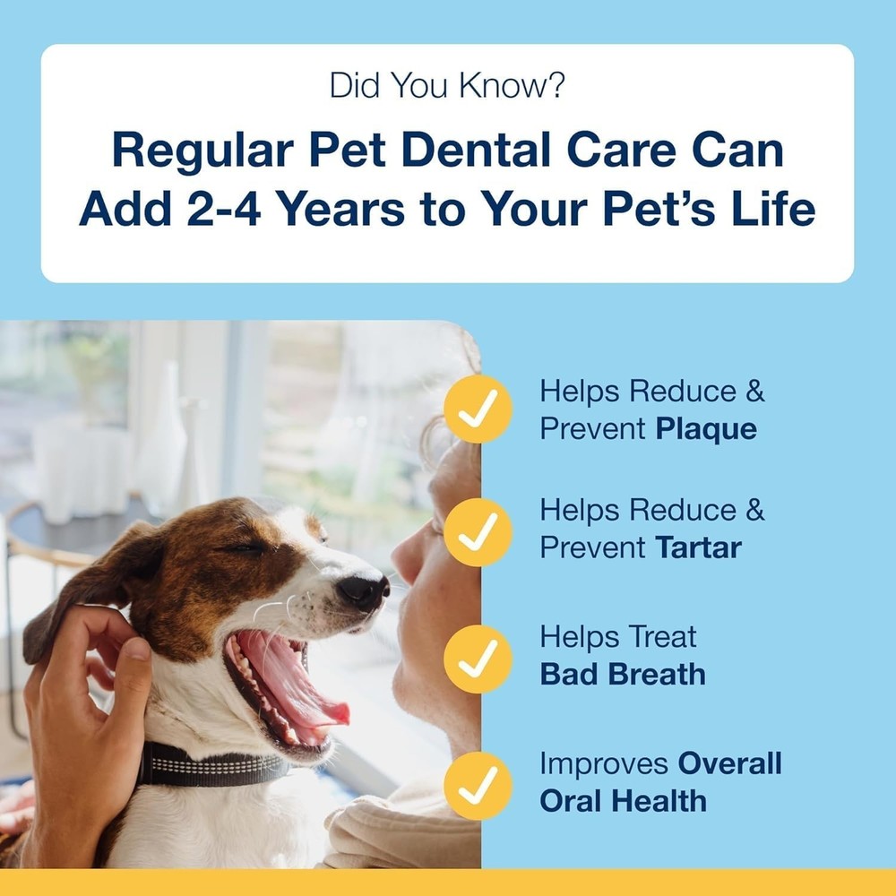 ProDen Plaqueoff Teeth Cleaning Powder - 420g
