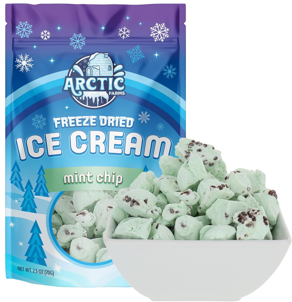 Freeze Dried Ice Cream Bits Bagged and Boxed - Does Not Melt (Mint Chocolate Chi