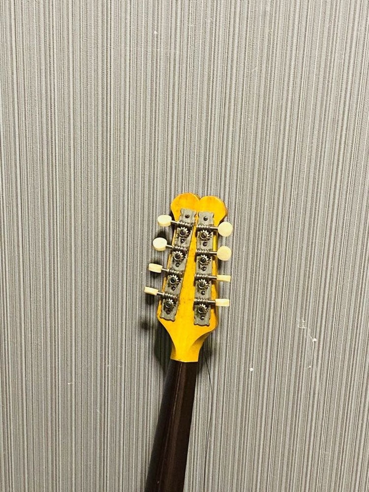 KUNISHIMA wood grain 8 string mandolin and case