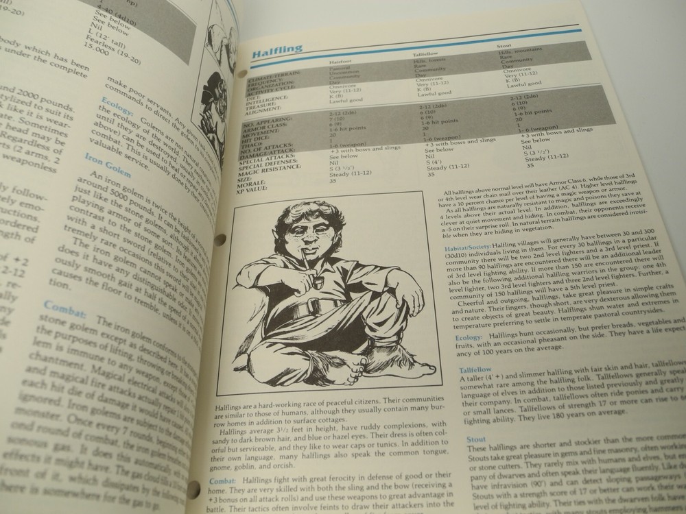 Dungeons & Dragons Dungeon Master Instructions 3 Hole Blank Monster Form Book