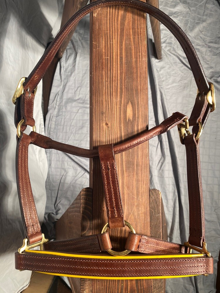 Presentation Leather Halter For Horse Size!
