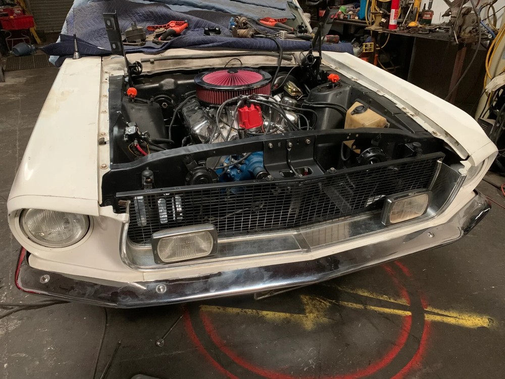 Radiator Support Show Panel Fits 1966 Mustang - NO ENGRAVING