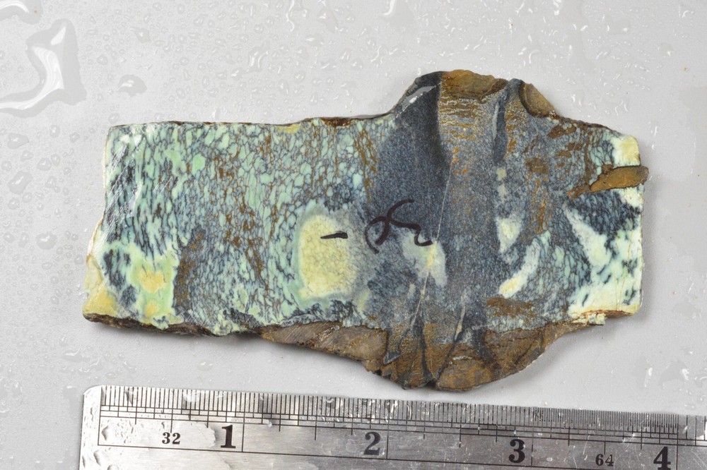 Variscite Slab, Snowville, Utah 45 grams