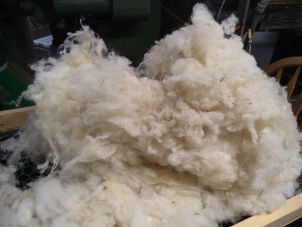 White Washed Texel Wool Roving - Free Shipping