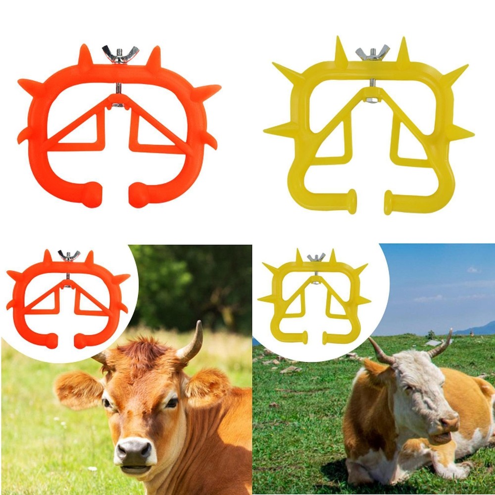 Calf Nose Ring Nose Thorn Weaning Tool