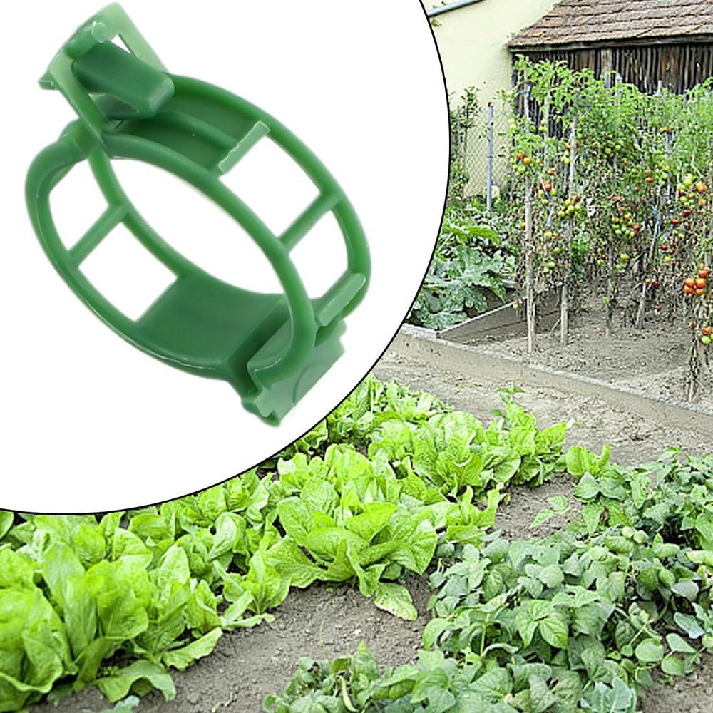 Efficient Solution for Fixing Solanaceous Vegetables Plant Vine Ties 100PCS