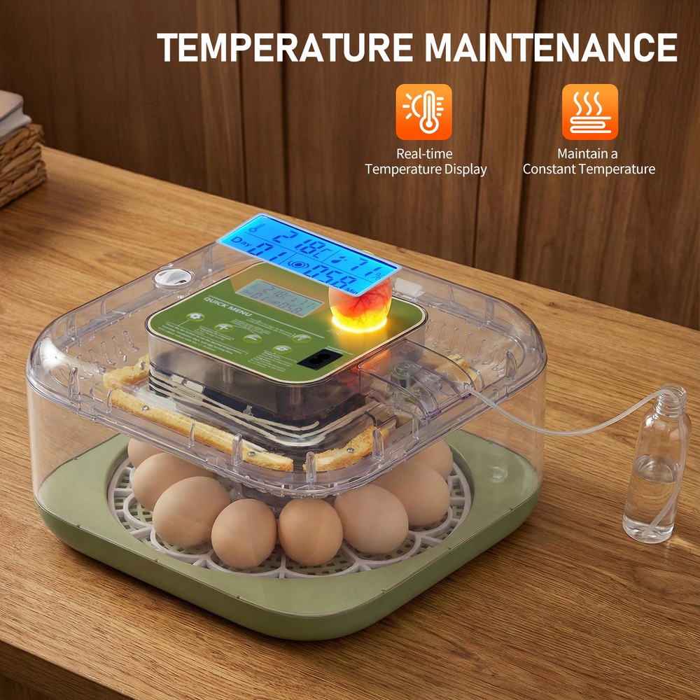 12 Egg Incubator with Automatic Egg Turning Egg Hatching Temp & Humidity Control