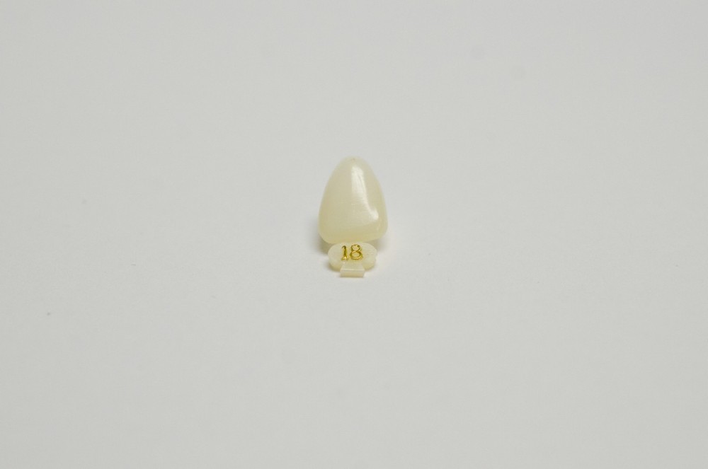 DENTAL POLYCARBONATE TEMPORARY CROWNS #18 (ULC) UPPER LEFT CENTRAL 5/PACK