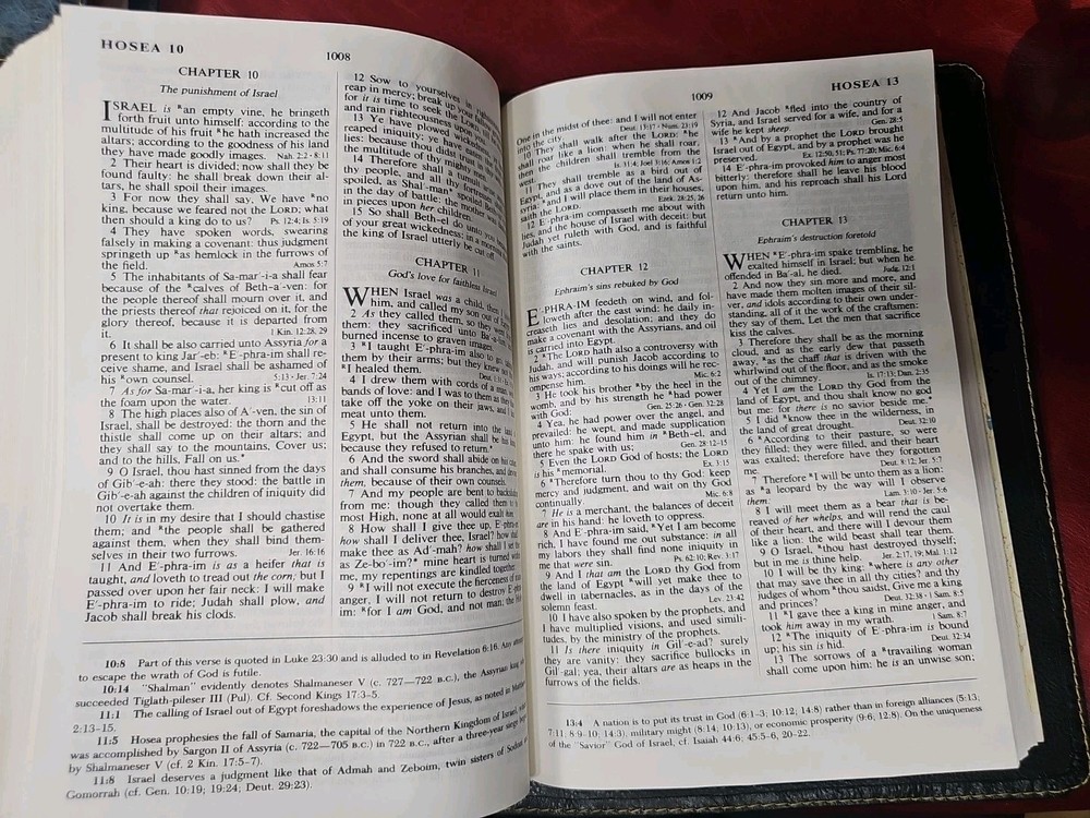 Criswell Study Bible Rebound with Liner Cowhide Nice! Stitched Parameter Nice!
