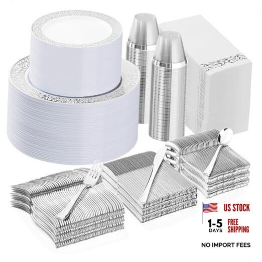 700PCS Plastic Dinnerware Set for 100 Guests, Disposable 100 Guests Set Silver