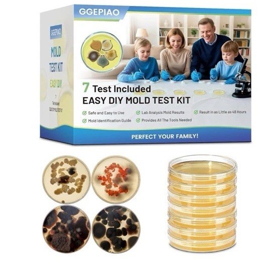 Kit de prueba de molde para el kit de prueba de moho en el hogar,