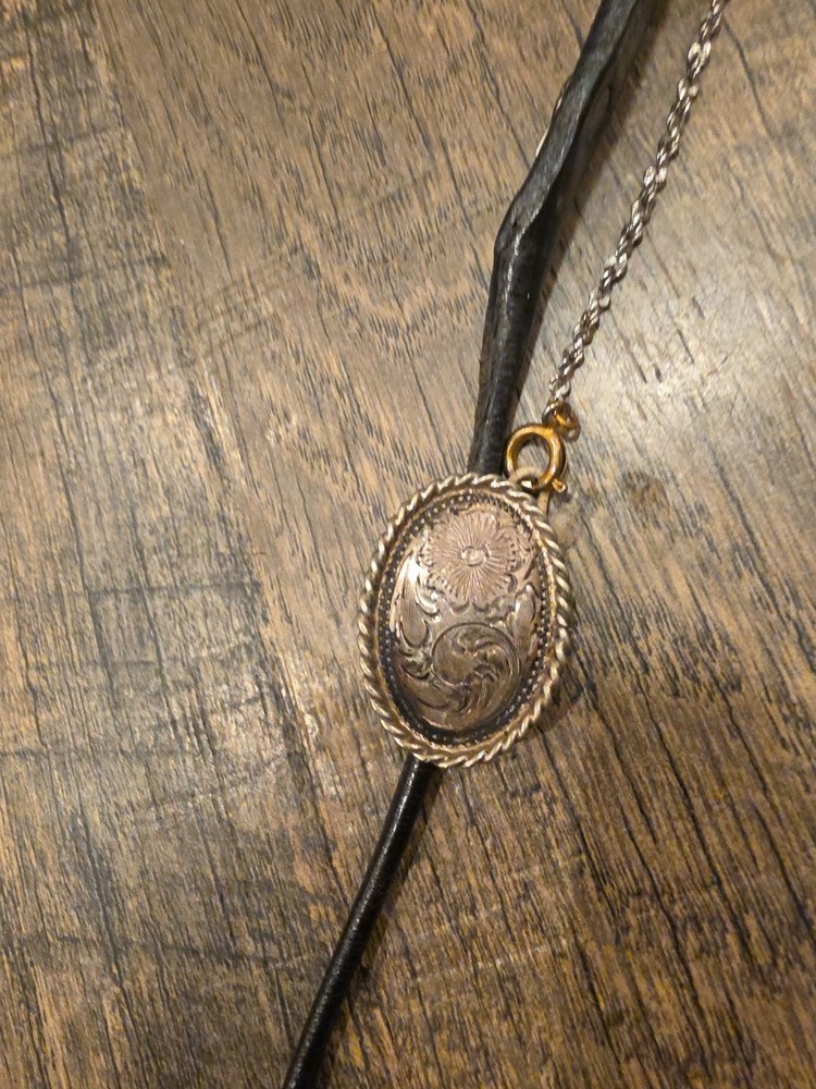 arabian horse show halter