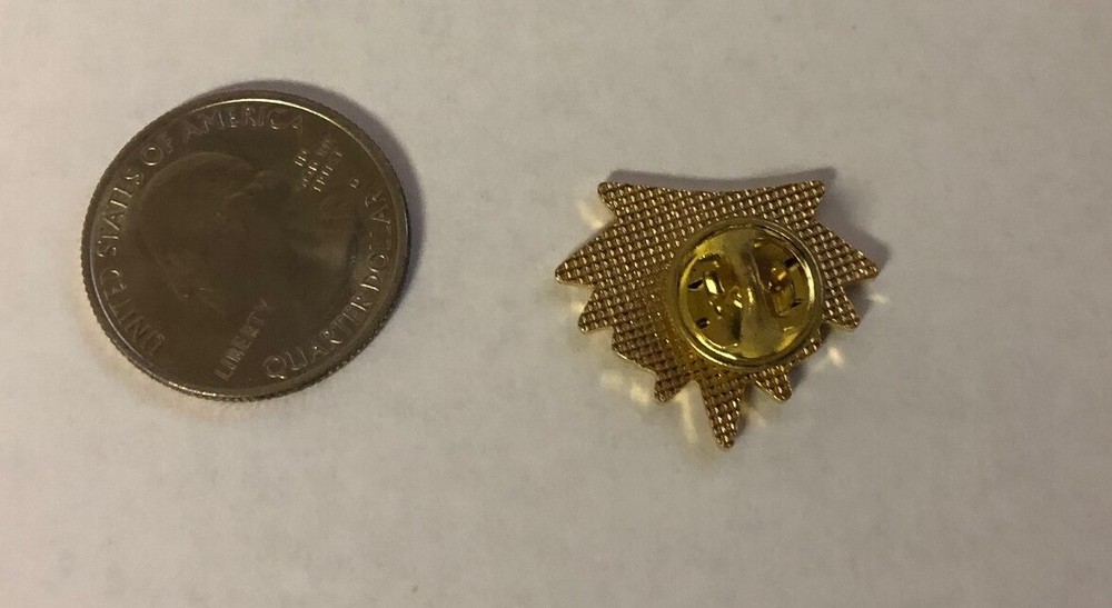 North Delta Hockey Pin