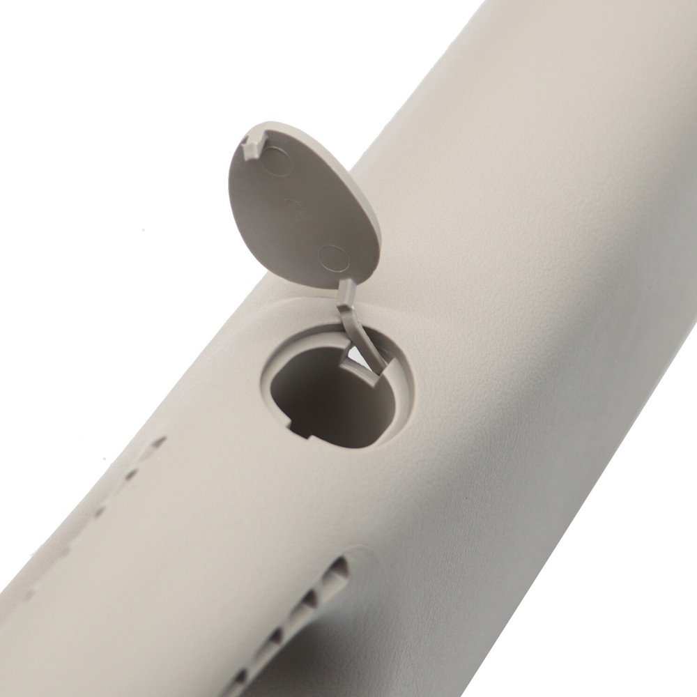 For 02-10 Dodge Ram Pair Set Pull Grab Handle A Pillar Windshield Post Trim