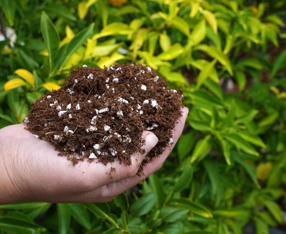 Coco Coir and Perlite Growing Medium, Potting Mix, Seed-Starting, Quality Tr...