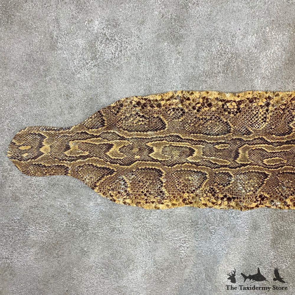 #21975 P | African Rock Python Snake Skin Rug Mount For Sale