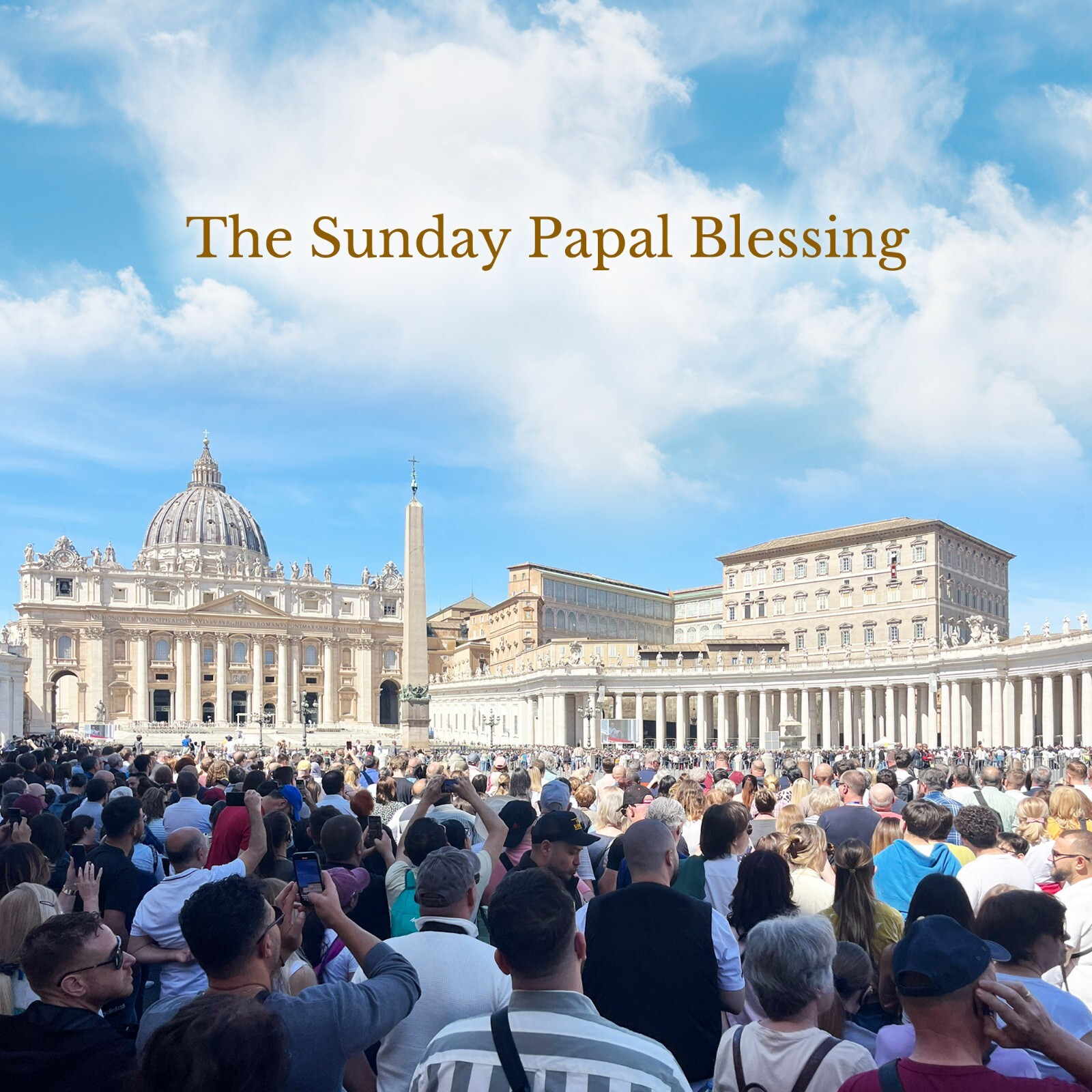 Rosary Beads Catholic Olive Wood Medal St Benedict Cross Blessed By Pope Vatican