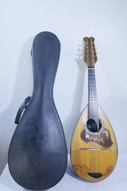 ◆Kunishima Mandolin No.106 ◆With hard case