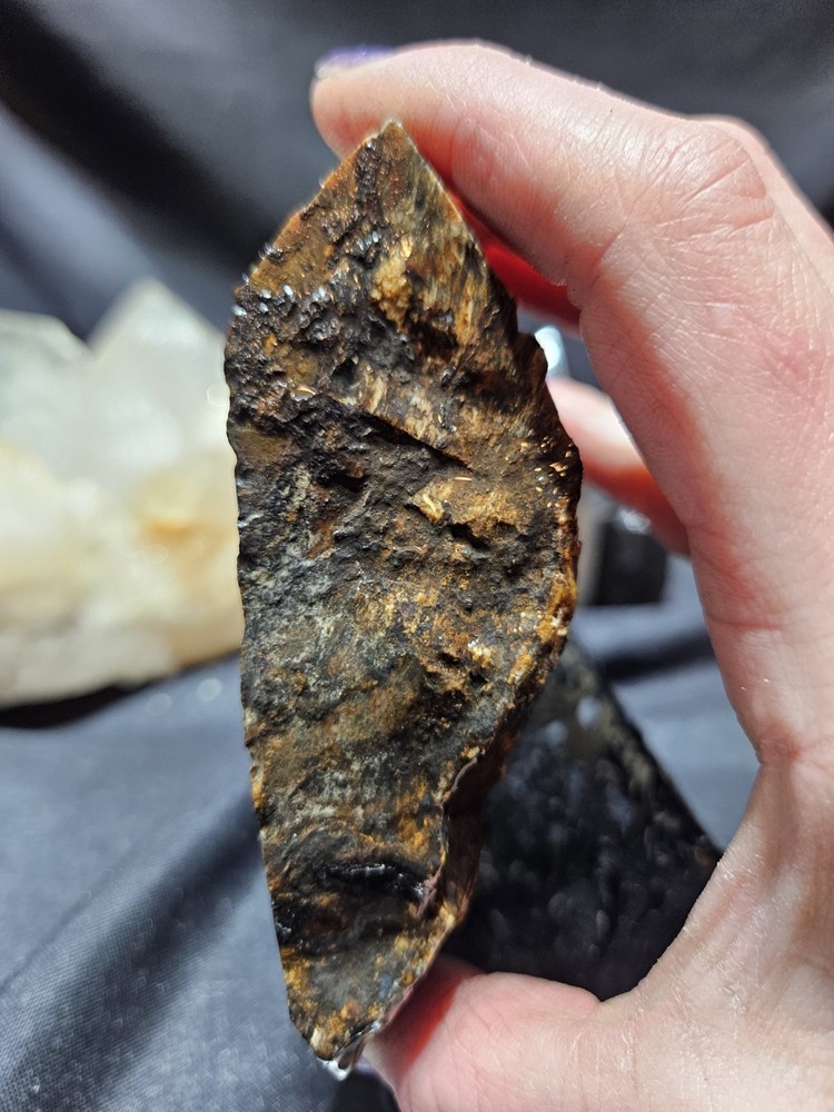 Biggs Jasper Multi Colored w/ Dendric Specimen Natural Form (14oz)
