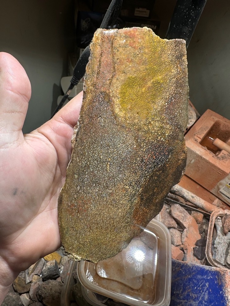 Dinosaur bone rough **hxtled slab.