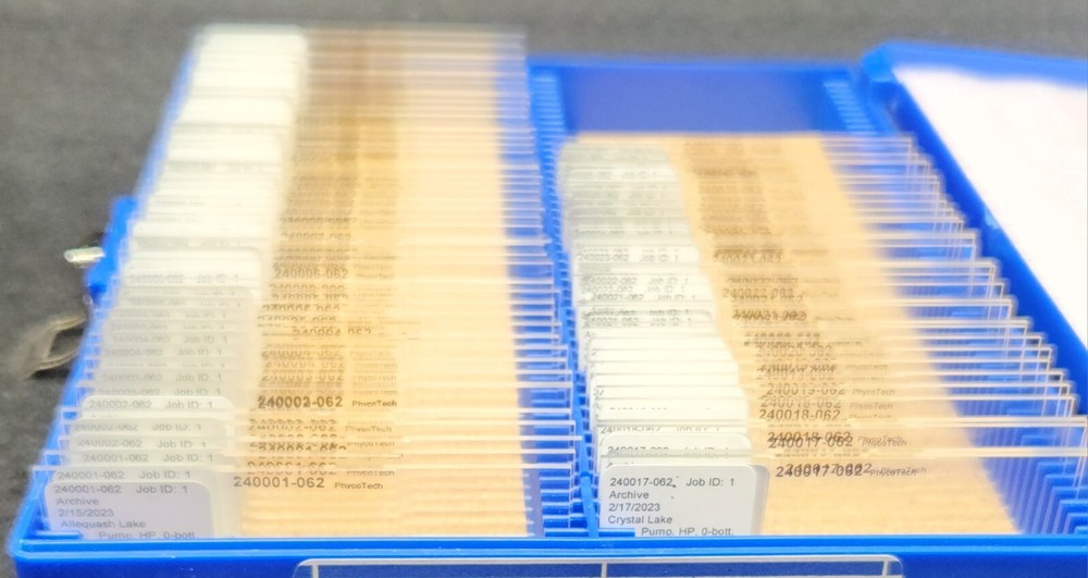New Microscope Slides