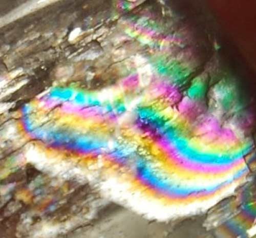 Kunzite Palm Stone #21