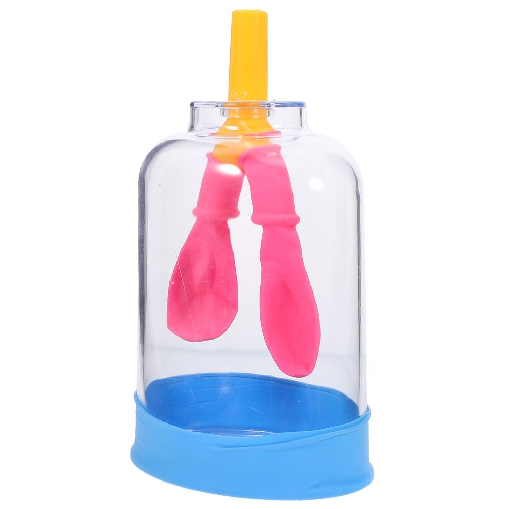 Lung Demonstration Model Function Teaching Aid