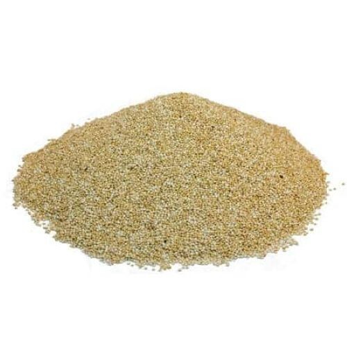 Bulk Quinoa Seeds 10 lb Wholesale Box