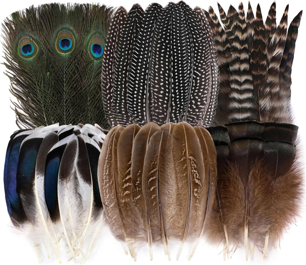 Holmgren 48pcs Natural Feathers Bulk - 6 Styles Assorted Peacock,