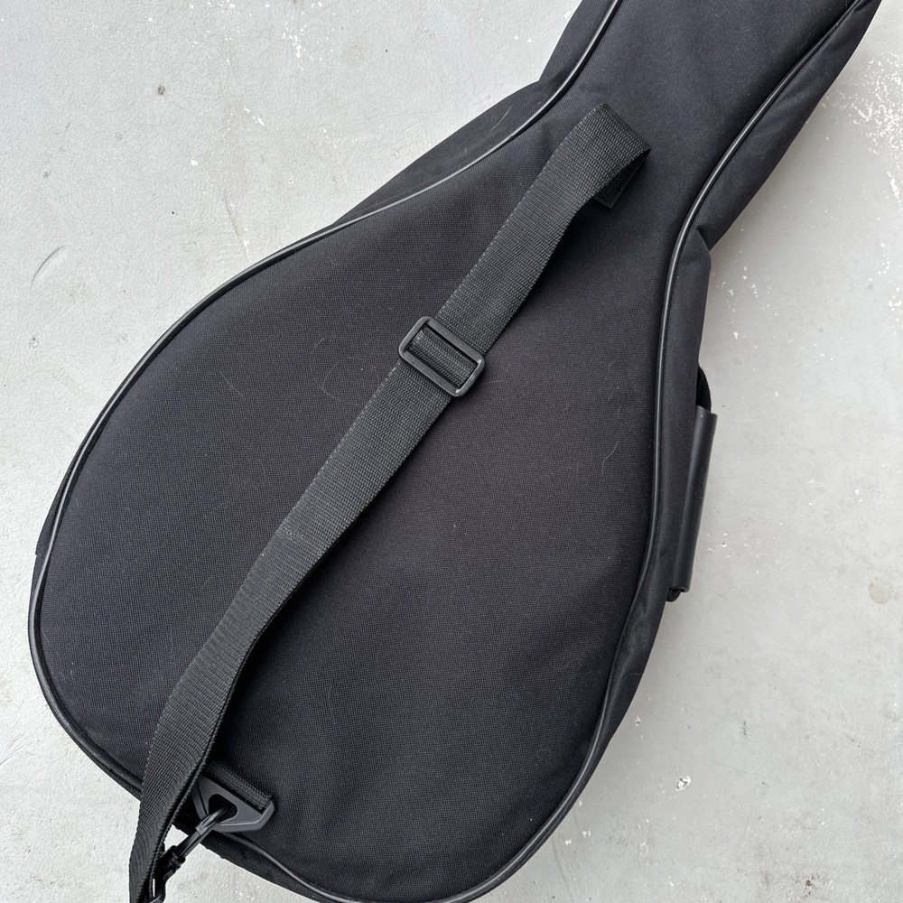 Roadrunner Mandolin Gig Bag