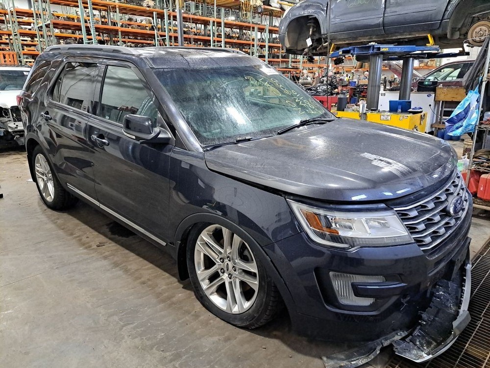 2017 Explorer Jack Sku#4371318