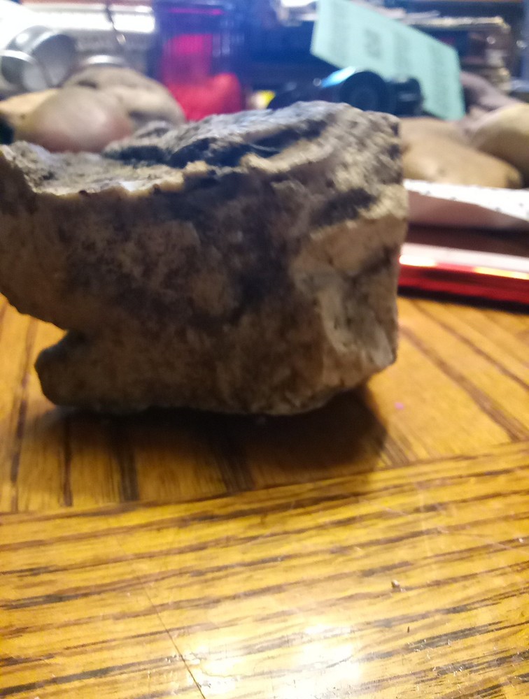 Fossils