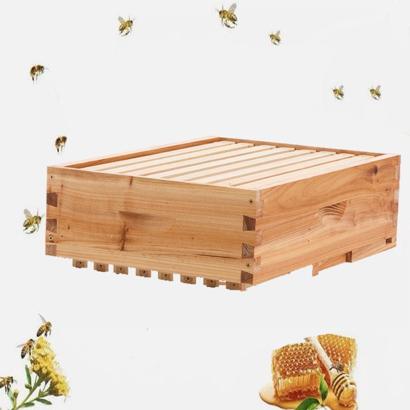 Bee Hive Langstroth Medium Beehive Kit 10 Frames Acrylic Bee