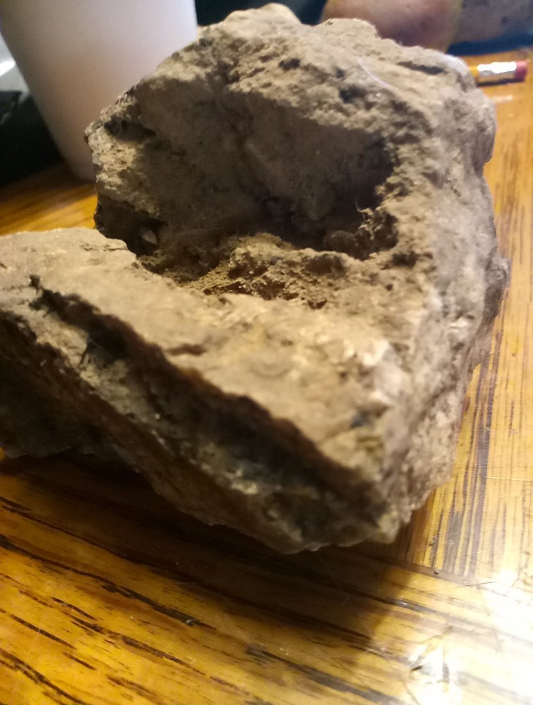 Fossils