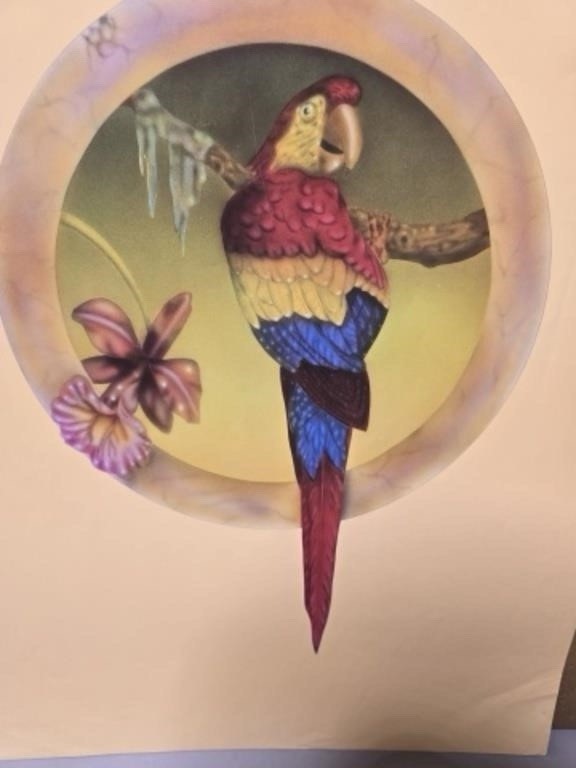 yellow macaw parrot Print