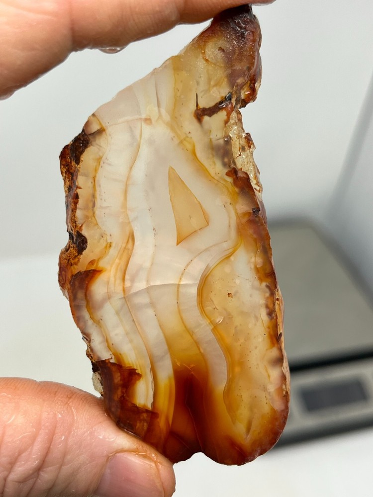Thin Translucent Carnelian Agate Slab Lapidary Cabbing Combo Ship Avail