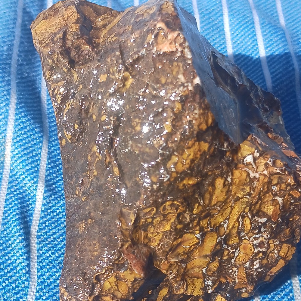 Jasper Rough Specimen Display Lapidary Potential