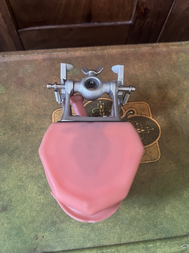 Dental Simulator Mannequin Head Teeth Model Teaching Practicing Head Mold desk