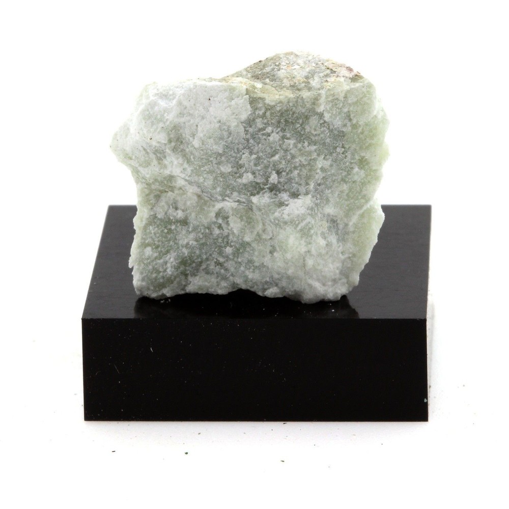 Egerane. 38.6 CT. Estrie, Quebec, Canada.