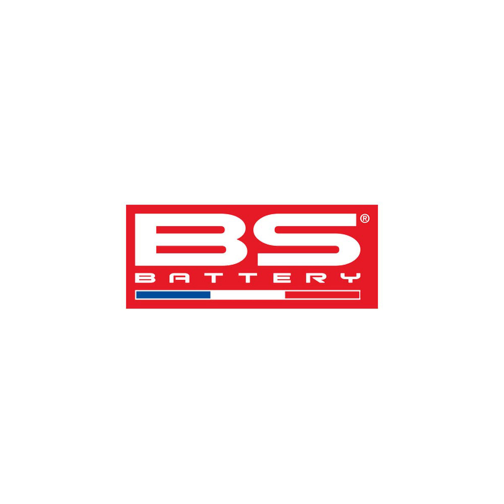 BA10 CHARGER